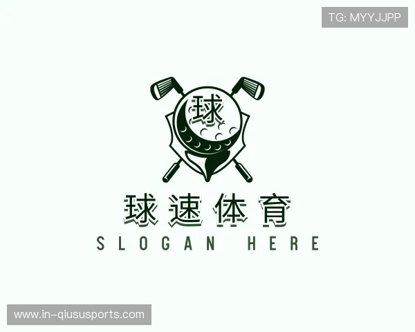 了解球速体育官网